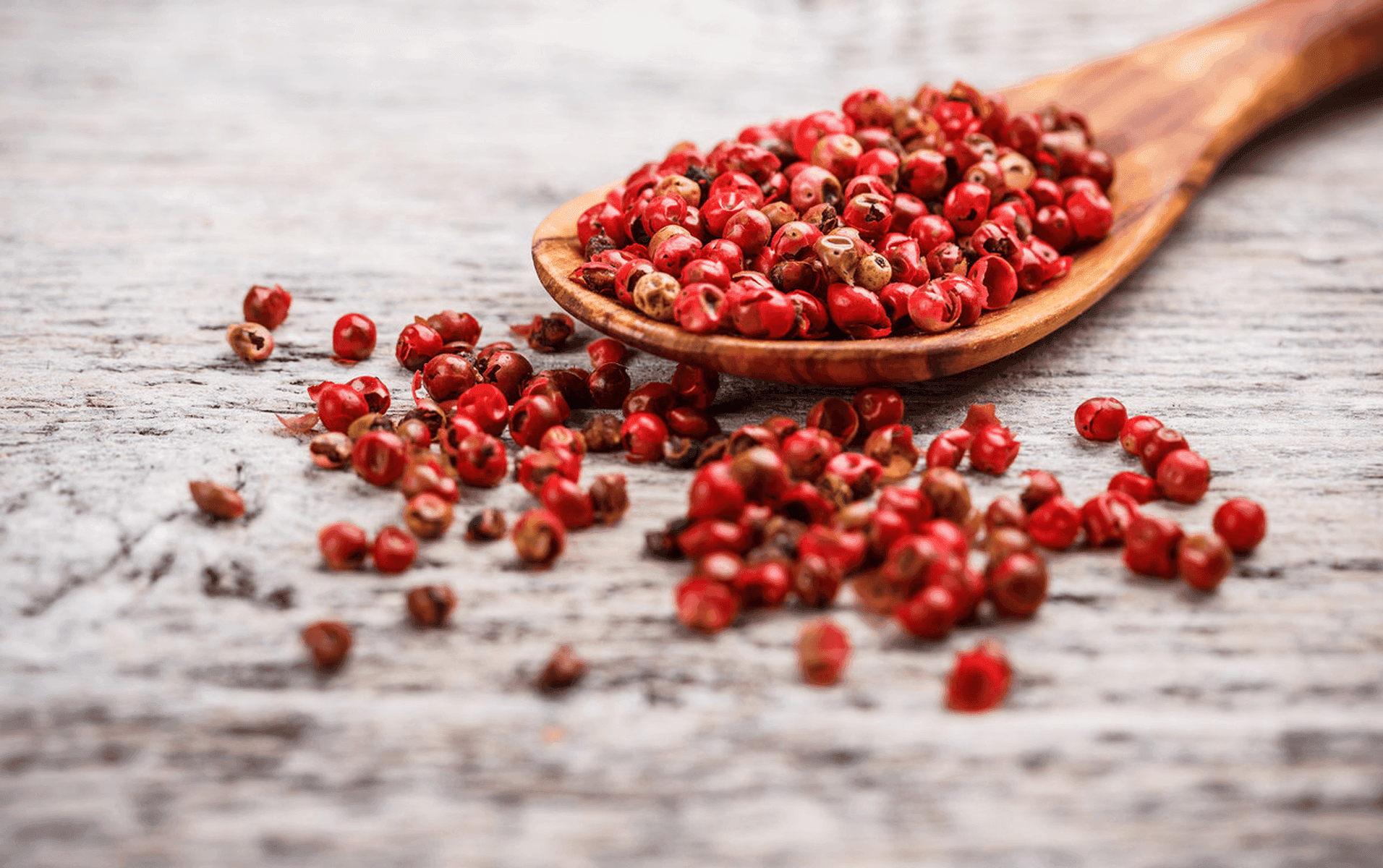 Rote Sichuan-Pfefferkörner auf einem Holzlöffel